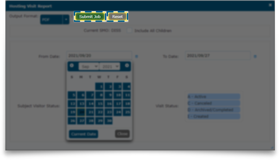 screen to submit a job report, with Submit Job button and Reset button highlighted